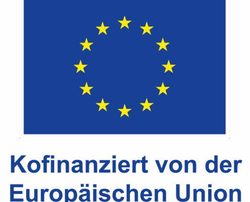 DE_V_Kofinanziert_von_der_EuropN__ischen_Union